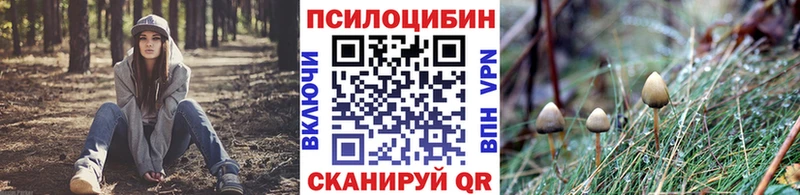 где можно купить   Беломорск  Галлюциногенные грибы мицелий 